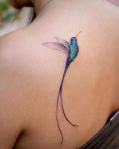 Hummingbird Tattoo