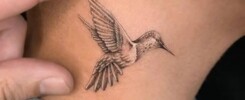 Hummingbird Tattoo